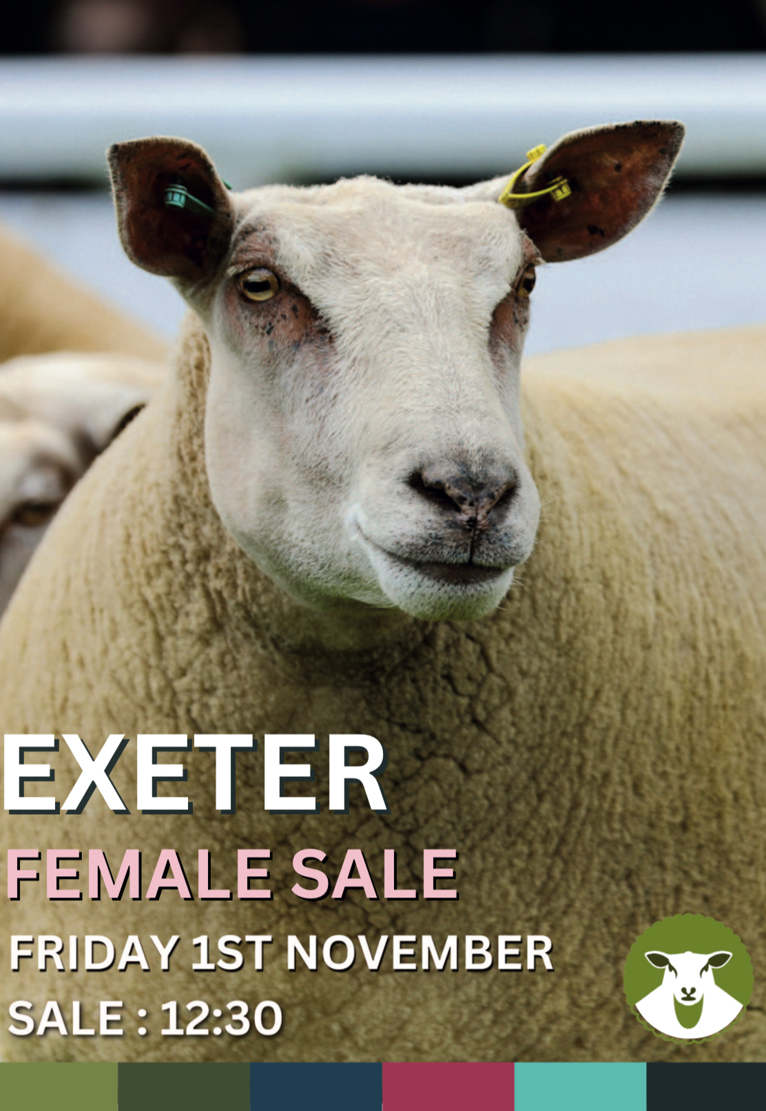 Exeter female sale